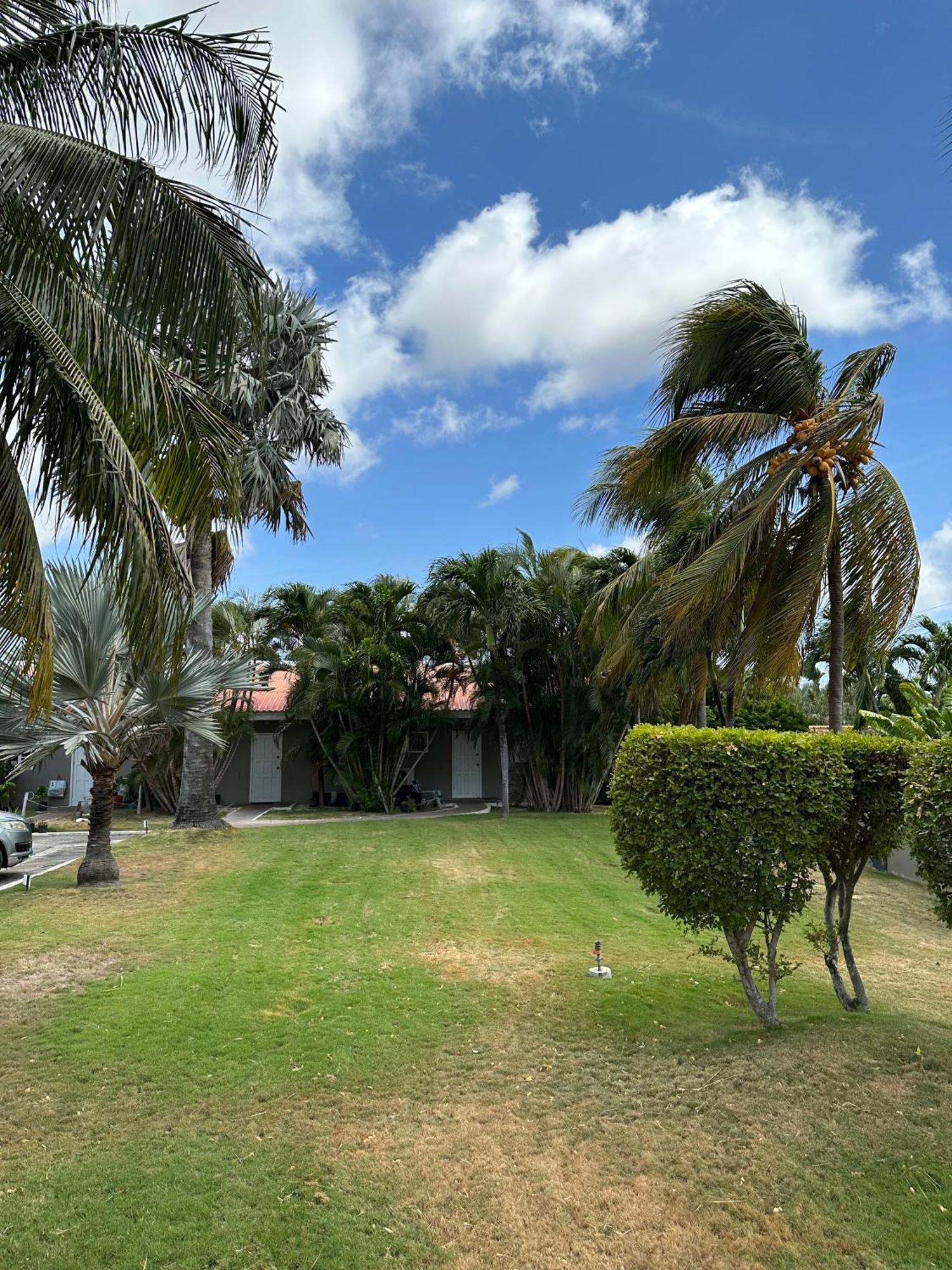Windmill Apartments Curacao Willemstad Exterior photo